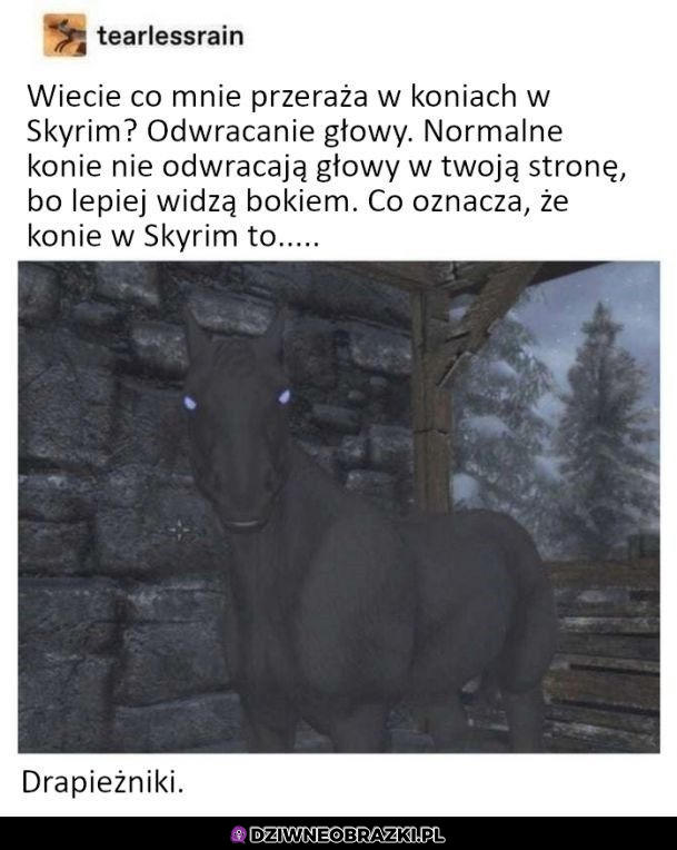 Konie w Skyrim