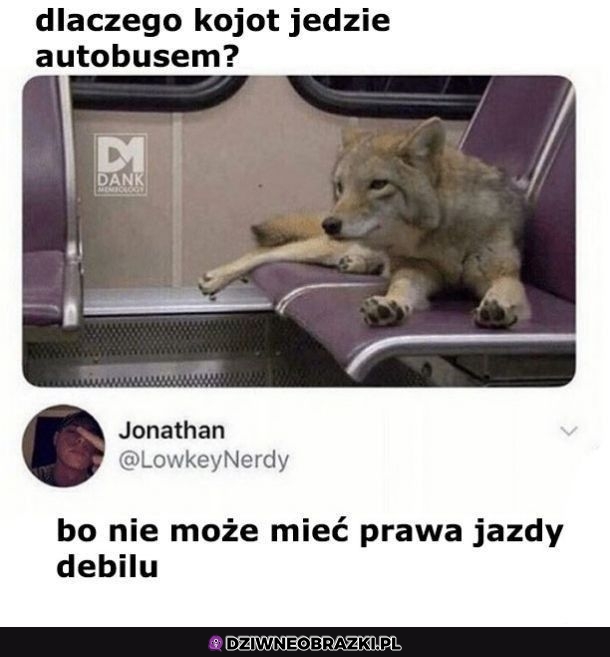 Właśnie