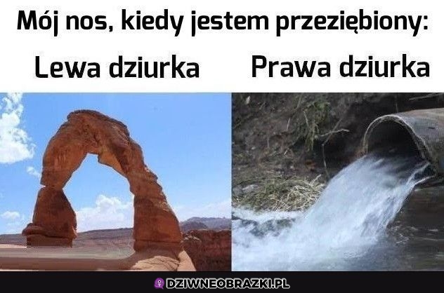 Zawsze to samo