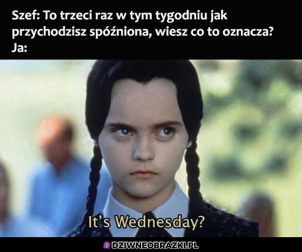 Co to oznacza?