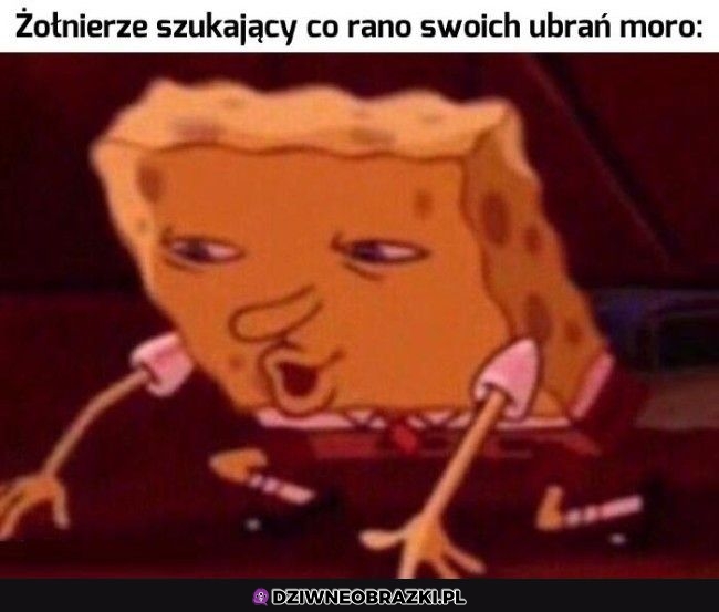 Codzienne poszukiwania