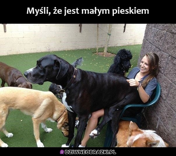 Nie wyrósł z tego
