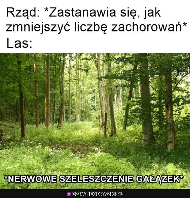 Ciekawe, czy znowu zamkną