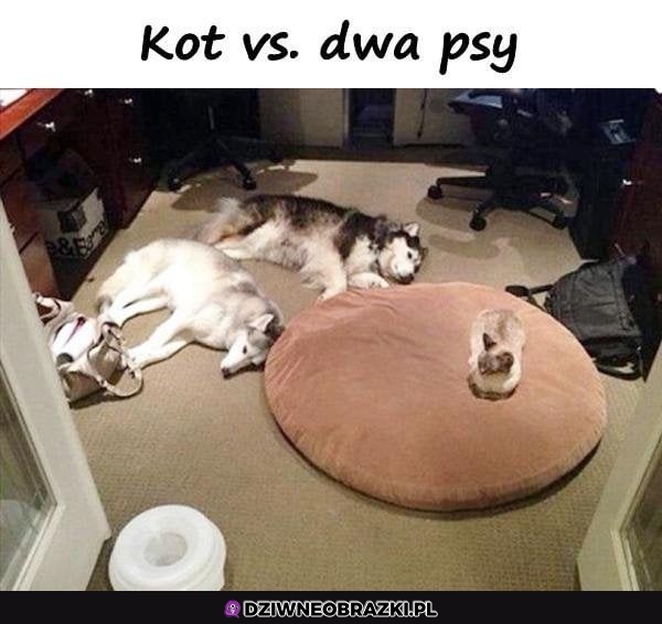 Wiadomo kto rządzi