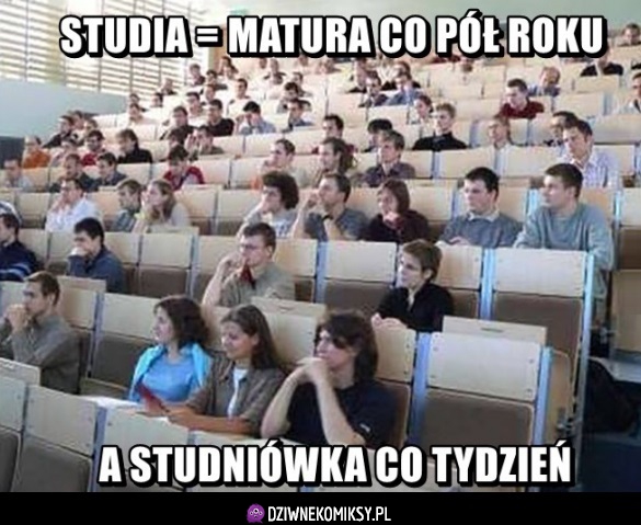 Tak to wygląda