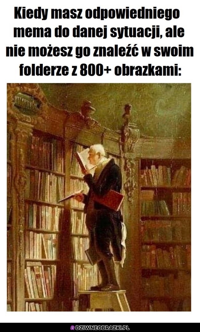 Szukamy, szukamy