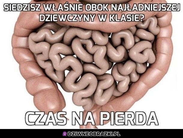 Dzięki
