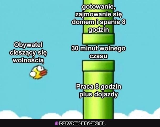 Tyle tej wolności