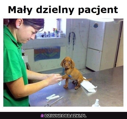 Dobry pacjent