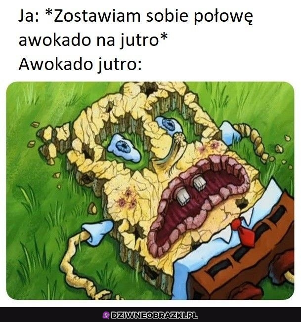 Taki jego wygląd