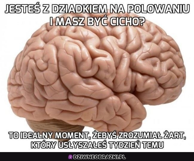 Ten moment