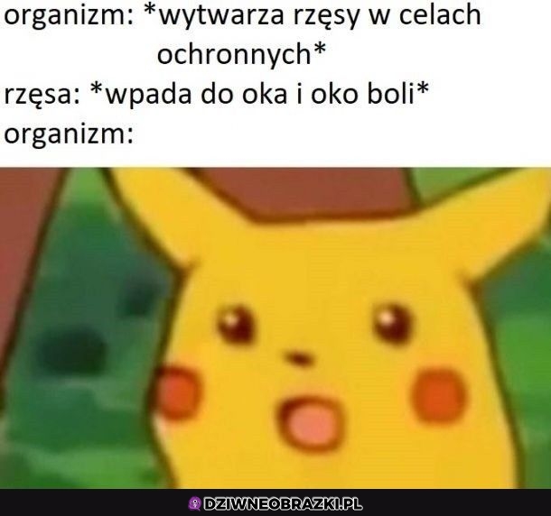 Rzęsy takie są