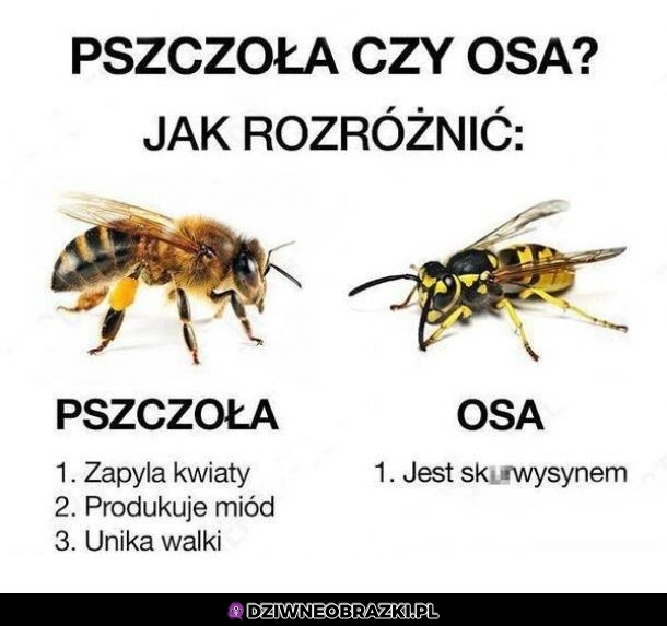 Proste rozróżnienie