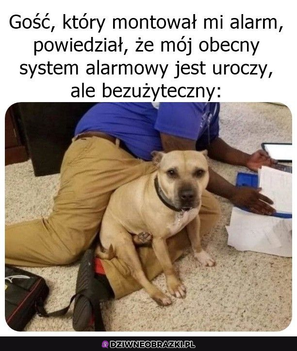 Kiedy masz uroczy system alarmowy