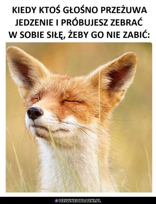 Ten moment Ten moment