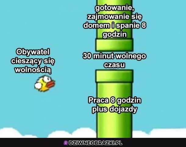 Tak to wygląda