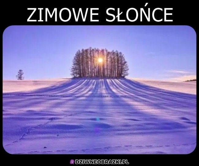 Szkoda, że takie krótkie