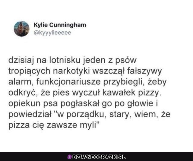 Uff, było blisko Uff, było blisko