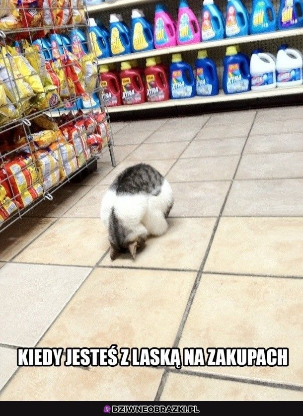 I masz już dość