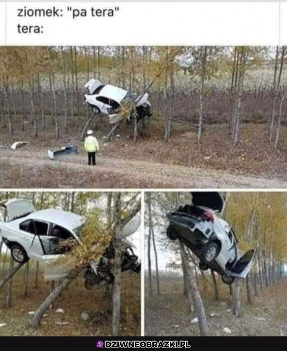 Pa tera