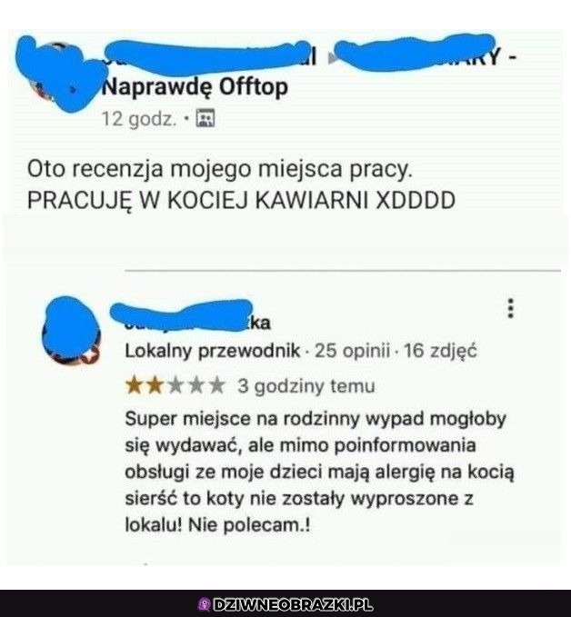 Recenzja