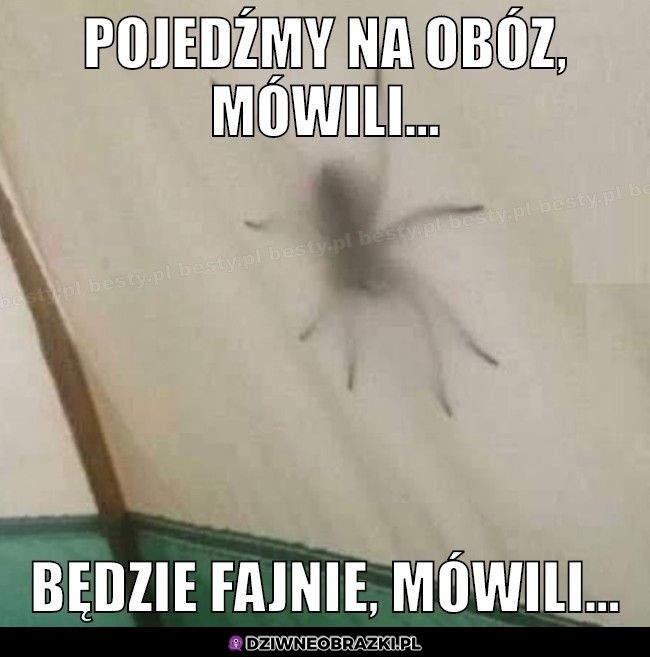 Fajny ten wyjazd
