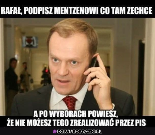 Politycy 