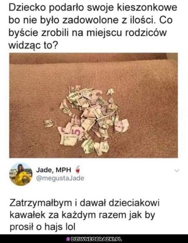 To bym zrobił