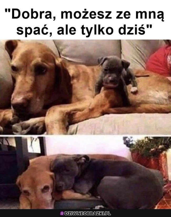 I tak zostało