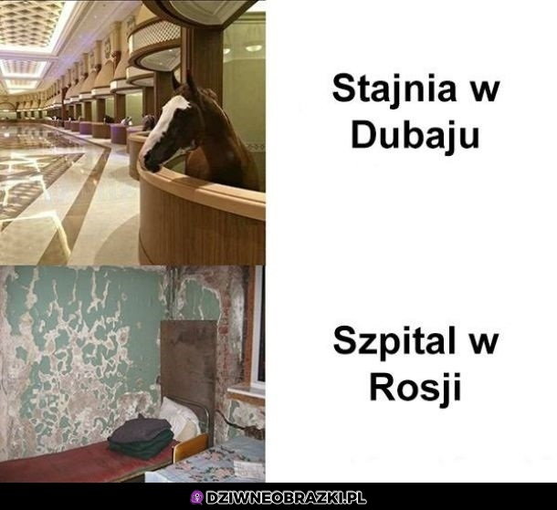 Różnica
