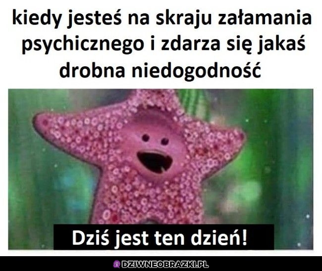 Ten dzień