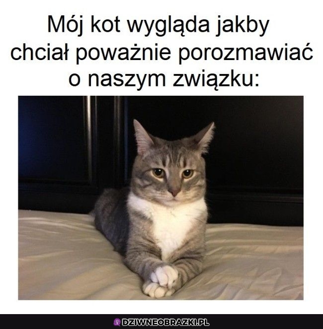 Słuchaj no, czas sobie chłopa znaleźć