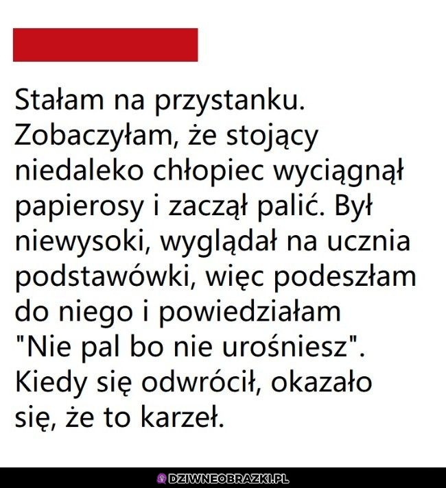 Kiedy widzisz małego palacza na przystanku