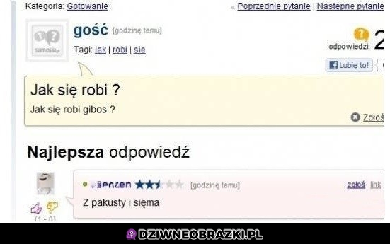 Gibos