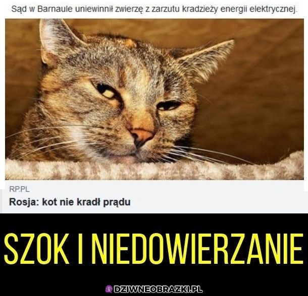Niesamowite