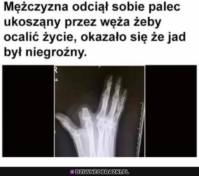 No cóż