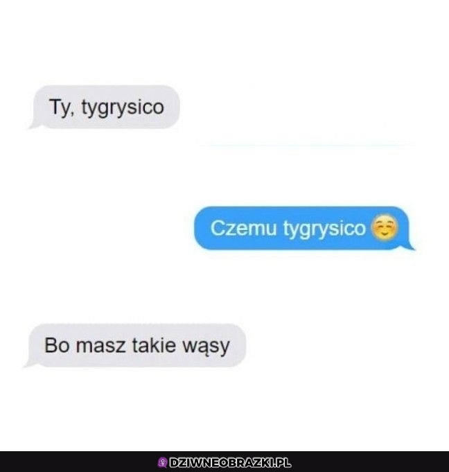Tygrysica