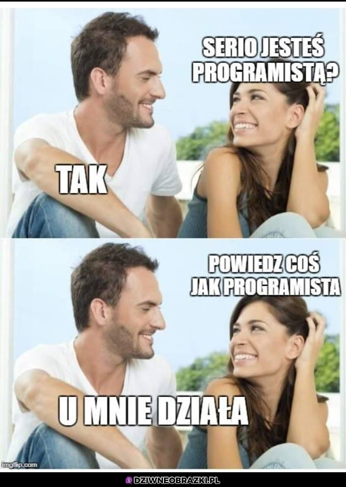 Programista