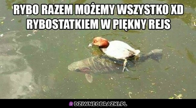 Rybostatek