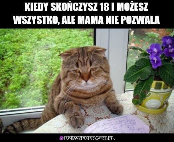 Ten moment