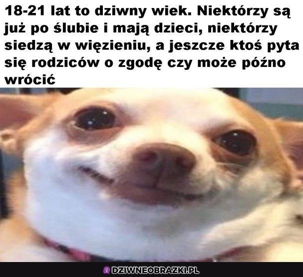 A potem jest jeszcze dziwniej