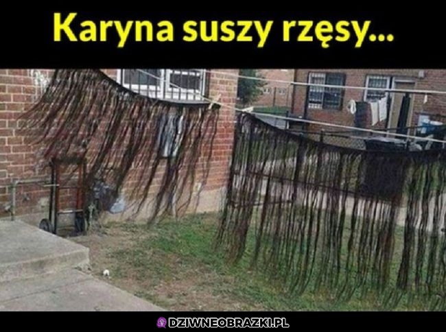 Nowe sobie kupiła