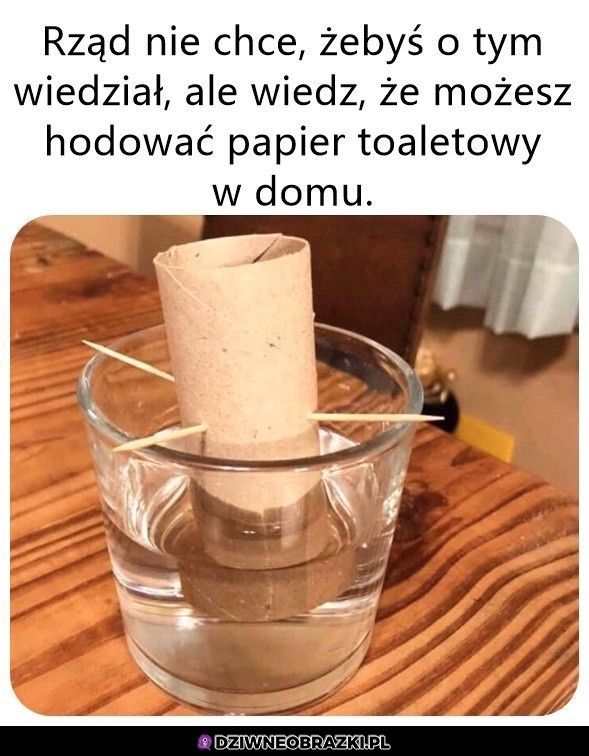 Tak, da się tak