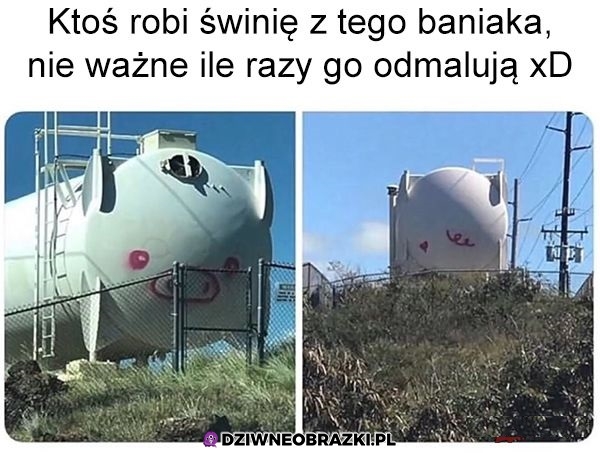 Prosiałkę