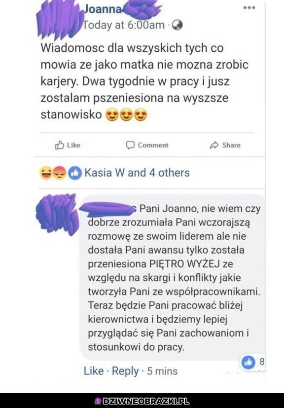 Karjera