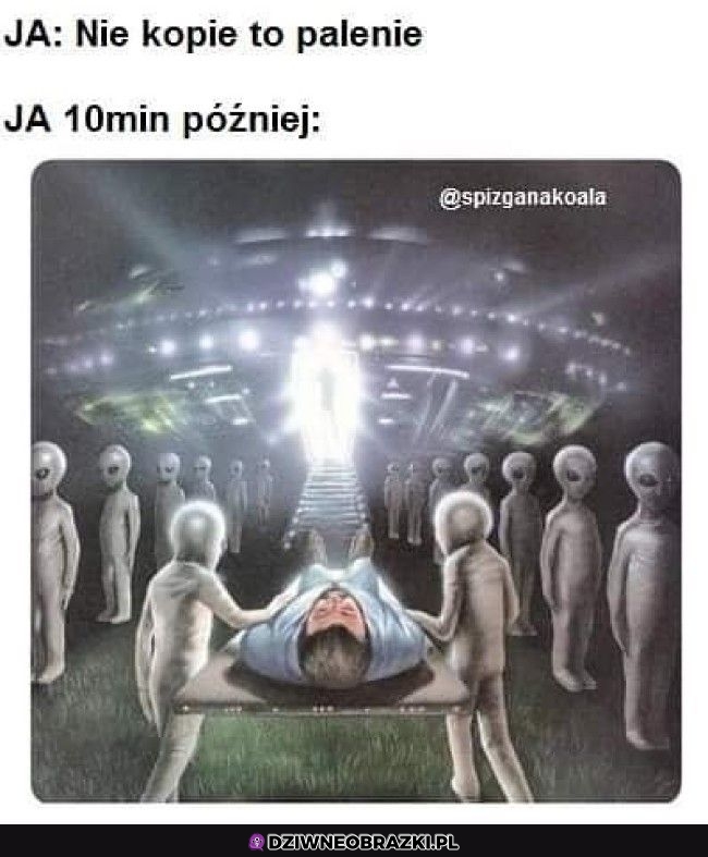 Wcale nie kopie