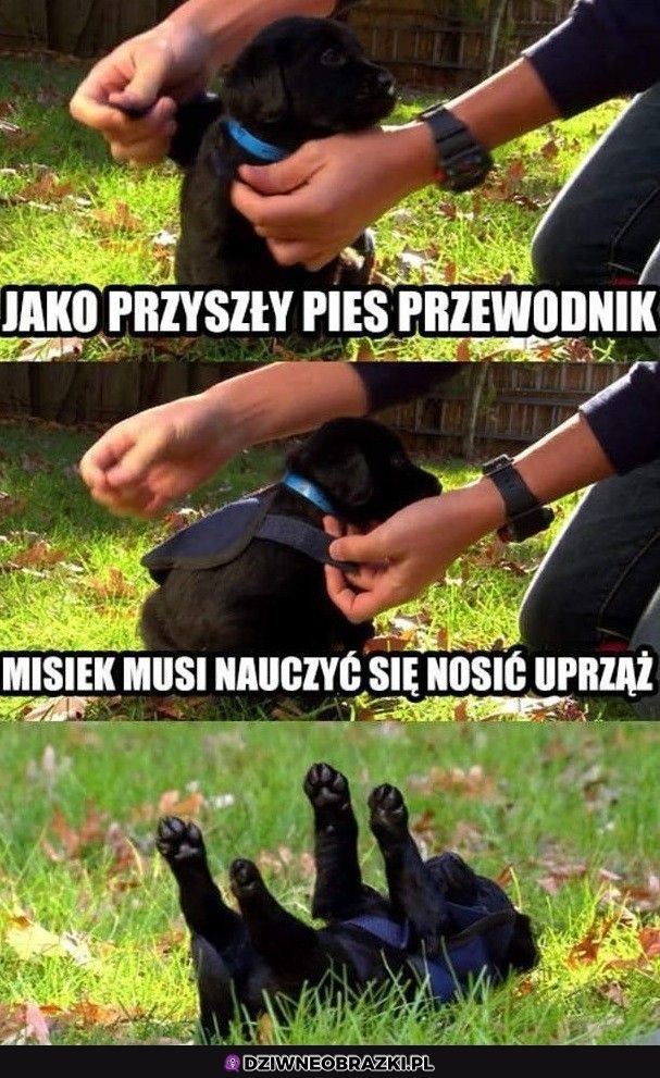 Ciężka lekcja