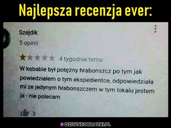 Recenzja