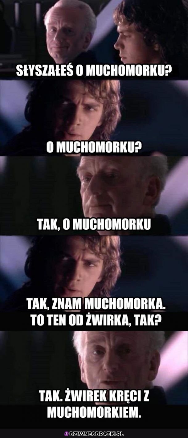 Słyszałeś?