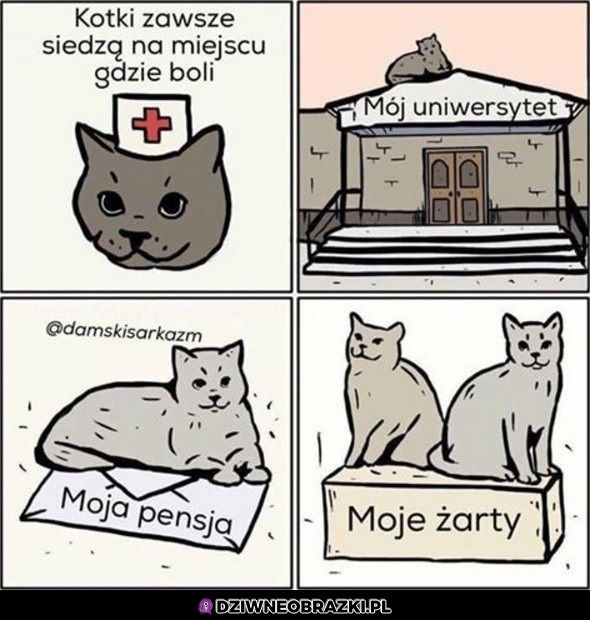 Tam gdzie boli